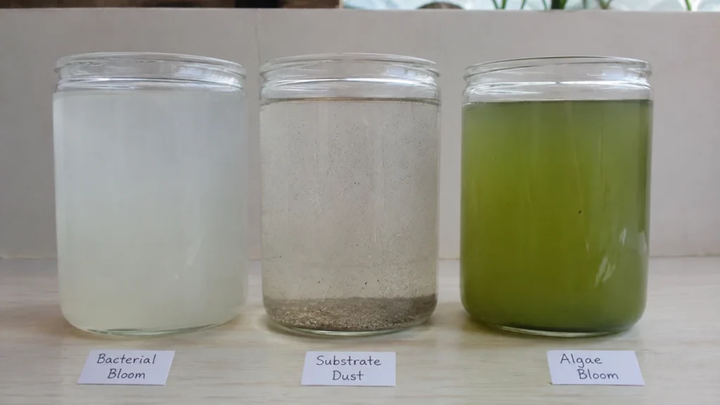 why is my aquarium water cloudy white