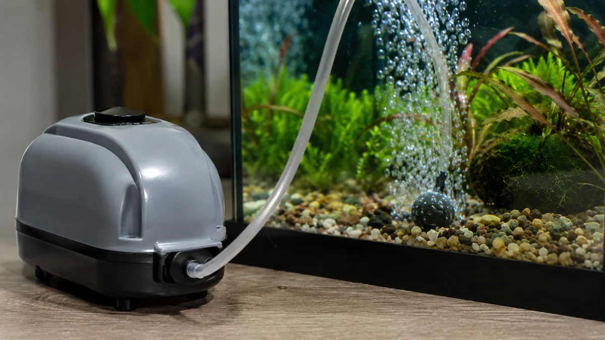 How to Choose the Right Aquarium Air Pump for Any Tank Size?