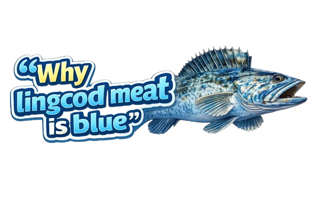 Why Is Lingcod Meat Blue?