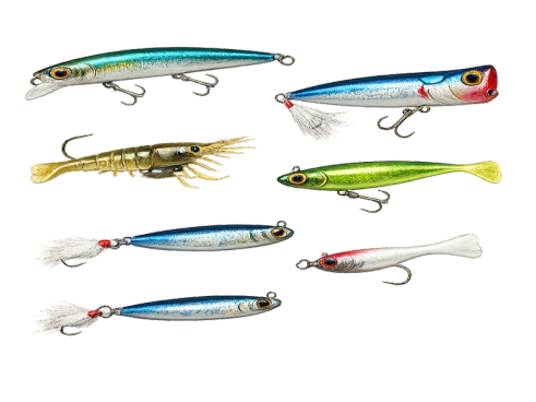 Best Bait for Fishing Saltwater