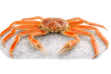 Snow crab legs