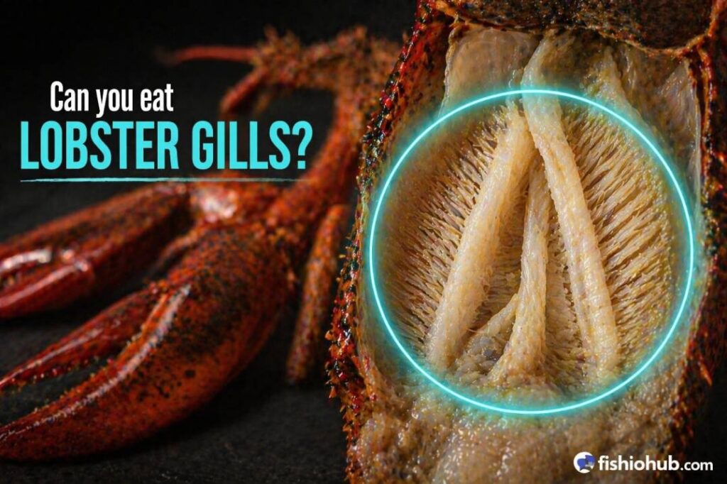 Can you eat lobster gills