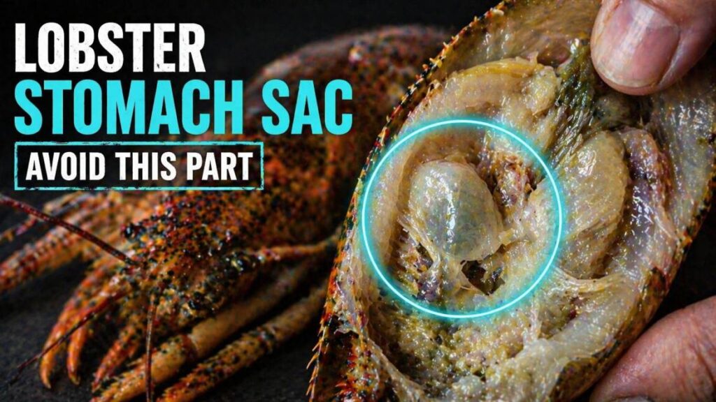 can you eat lobster stomach sac