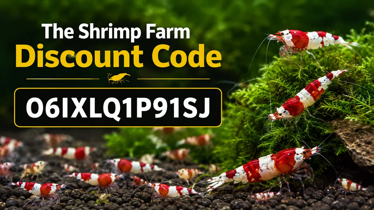 The Shrimp Farm Discount Code O6IXLQ1P91SJ (2026 Guide)