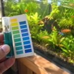 what is ideal Freshwater Aquarium pH Levels? how to control it?